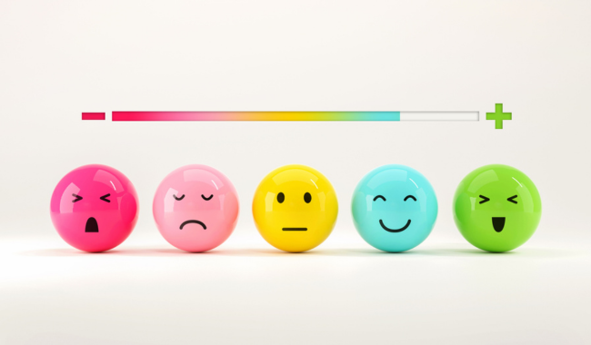 2023 Customer Satisfaction Survey