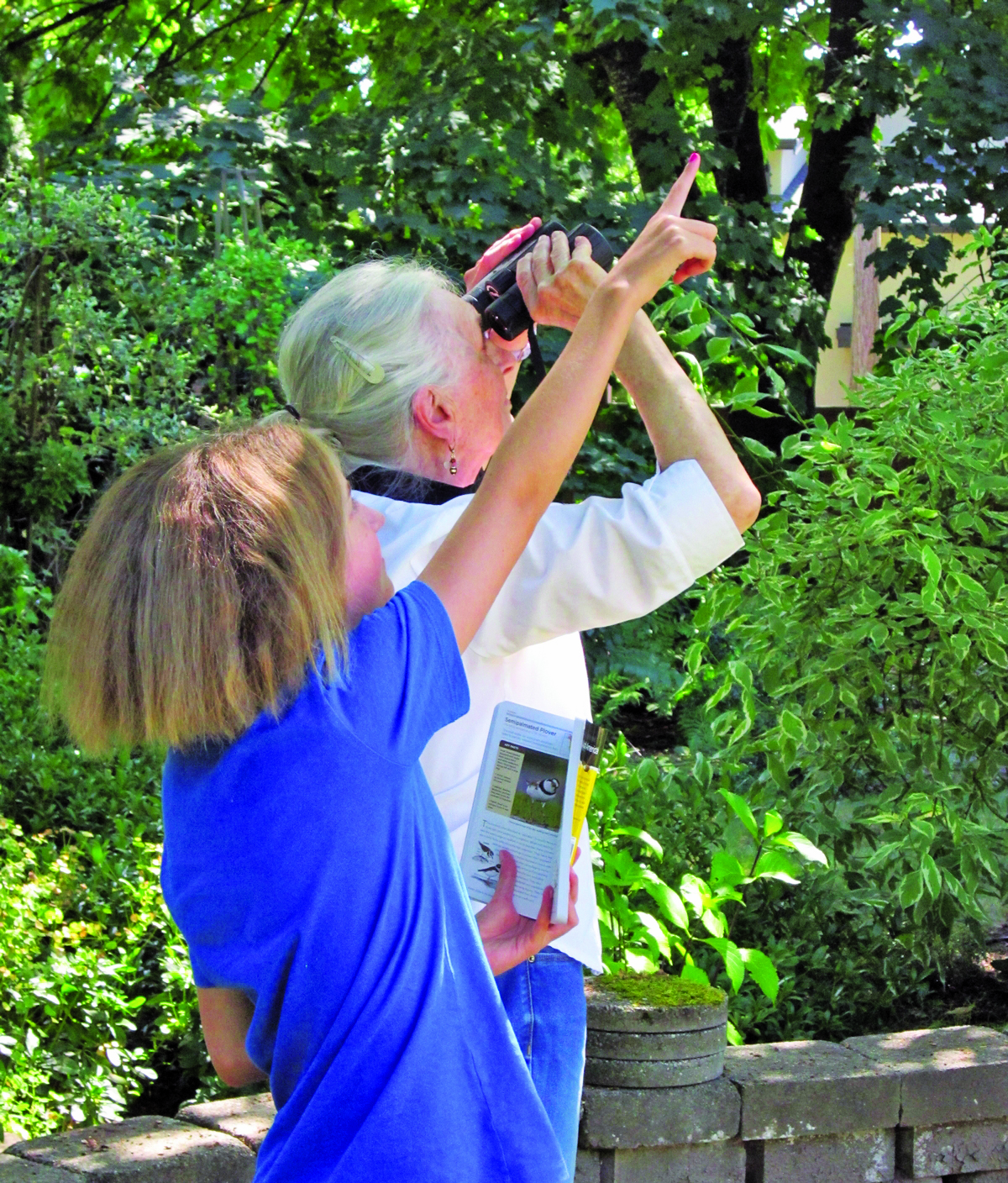 Birdwatching 