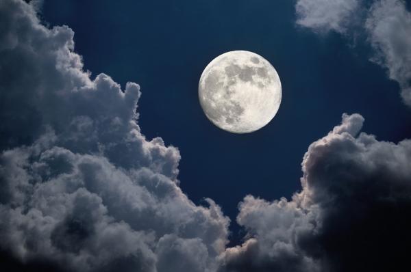 moon-day