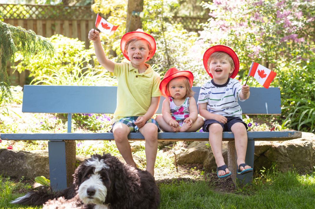 library-link-canada-day